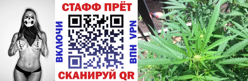 Наркотические вещества Кодинск COCAIN Кодеин Alpha PVP Канабис Псилоцибиновые грибы ГАШИШ Мефедрон