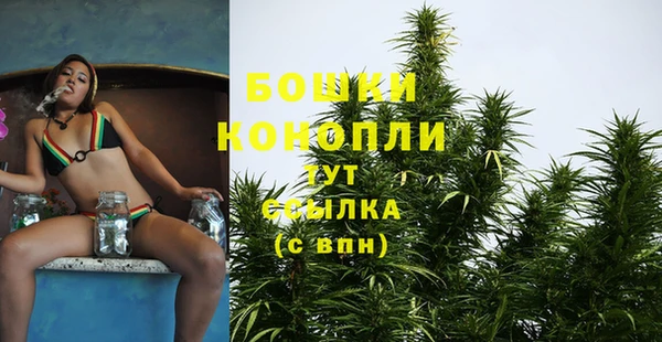 дживик Богданович