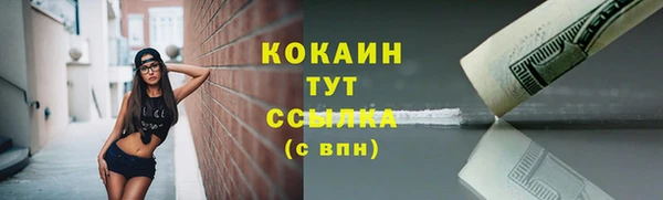 гашик Богородицк