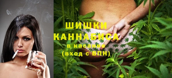 гидра Белокуриха