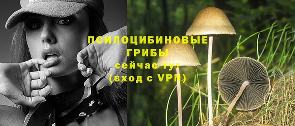 гидропоника Приозерск