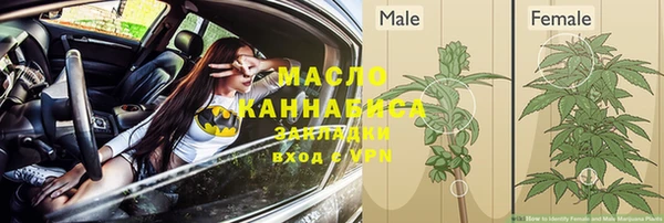 гидра Белокуриха