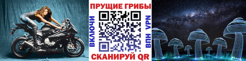 купить закладку  Кодинск  Галлюциногенные грибы Psilocybe 